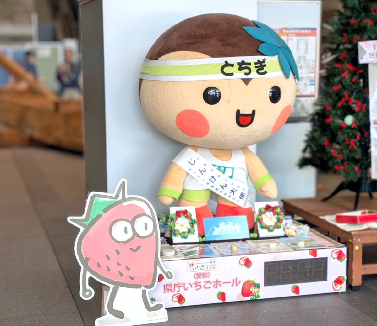 県知事に表敬訪問してきました｜いちごのうたプロジェクト